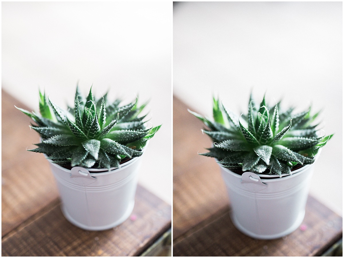 D810 14 bits CSP RAWL vs RAWS avec Retouche