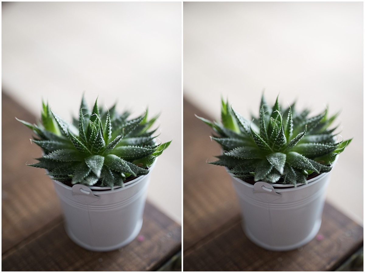 D810 14 bits SC vs 12 bits C RAWL Comparaison Raw L Nikon D810 en 14 bits sans compression avec le raw L 12 bits compressé