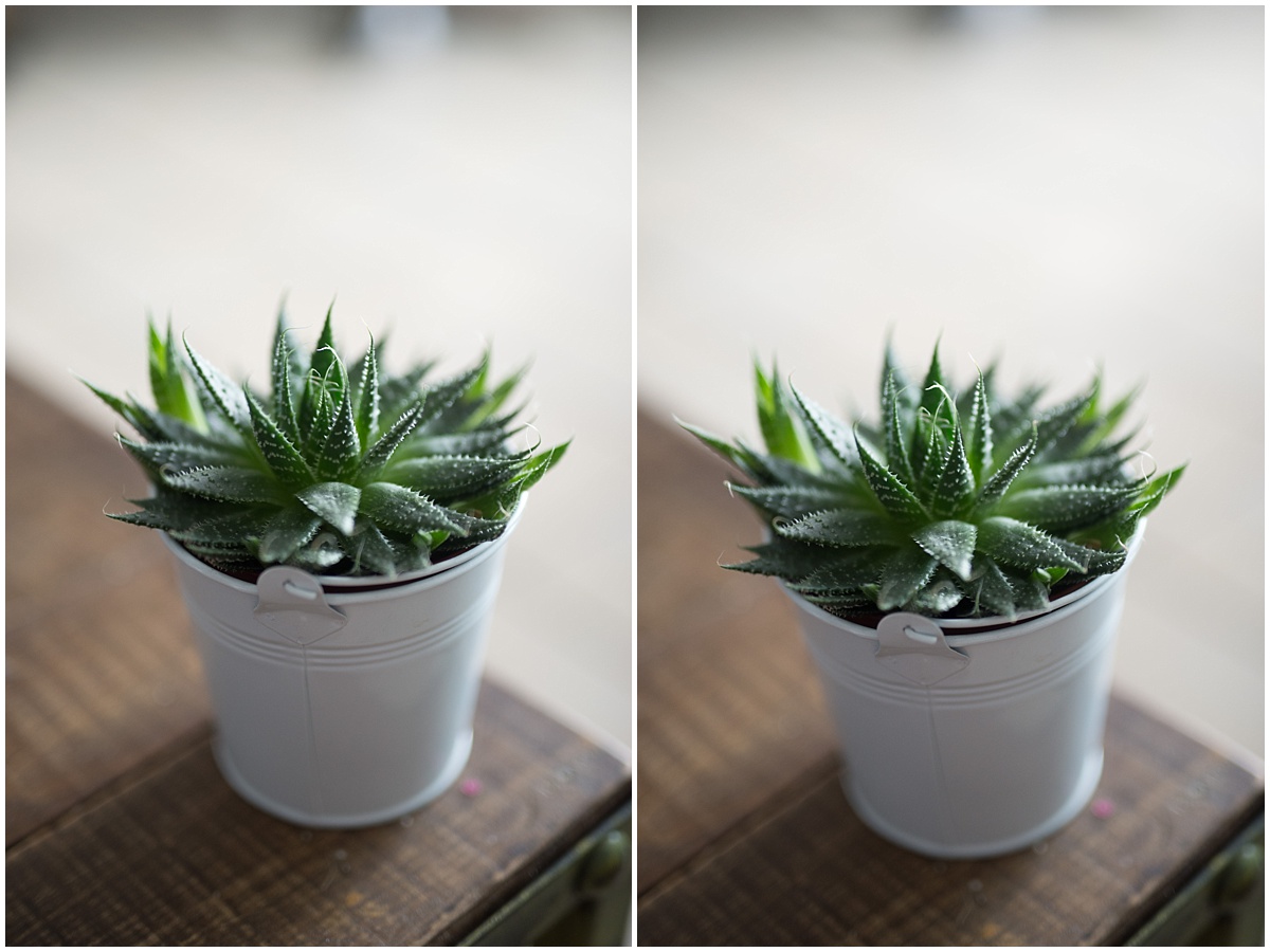 DF 14 Bits SC vs 12bits C Comparaison Nikon DF RAW 14 bits sans compressions versus Raw 12 Bits avec compression